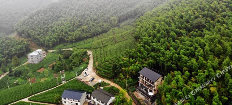 莫干山翠微山居图片
