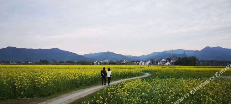 西递漠·可名宿图片