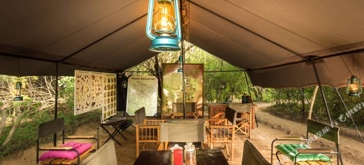 玛霍拉 - 韦帕图生态团队(Mahoora - Wilpattu by Eco Team)图片