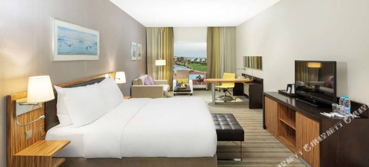 杰赞丽笙蓝标度假村(Radisson Blu Resort, Jizan)图片