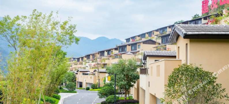 永泰山外山花韵私汤别墅图片
