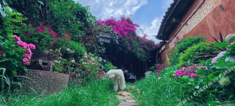 丽江康美之恋私人庭院图片