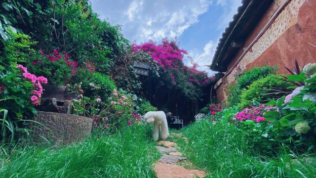 丽江康美之恋私人庭院