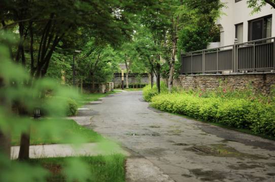 宁波东钱湖万金雷迪森度假酒店图片
