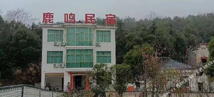 鹿鸣民宿图片