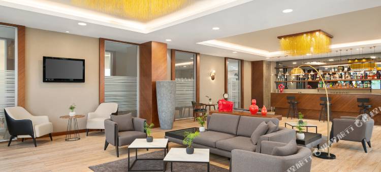 温德姆华美达广场酒店-萨姆松(Ramada Plaza by Wyndham Samsun)图片
