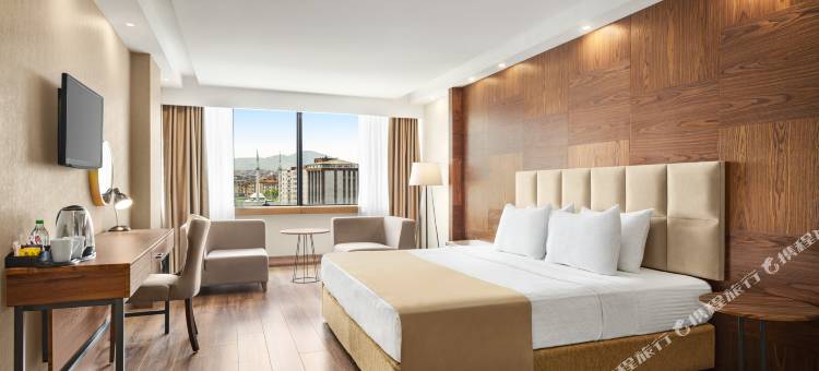 温德姆华美达广场酒店-萨姆松(Ramada Plaza by Wyndham Samsun)图片