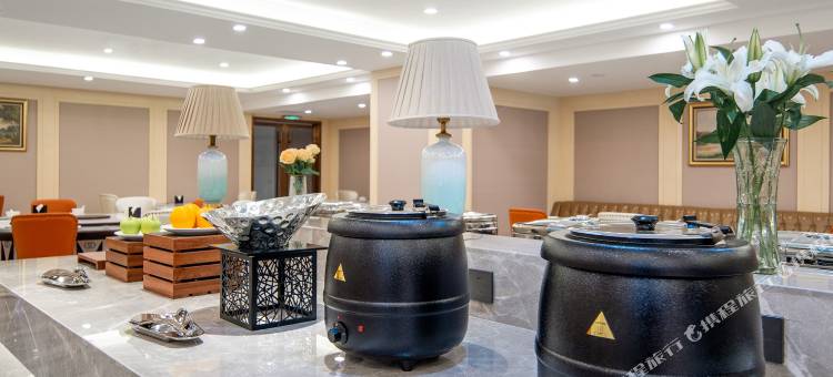 维也纳酒店(广元苍溪店)图片