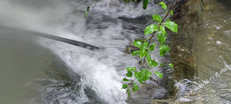 归园山舍民宿图片
