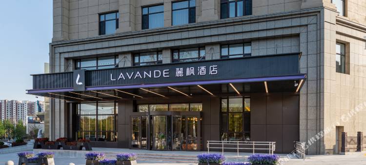 麗枫酒店(锦州人民街北湖公园店)图片