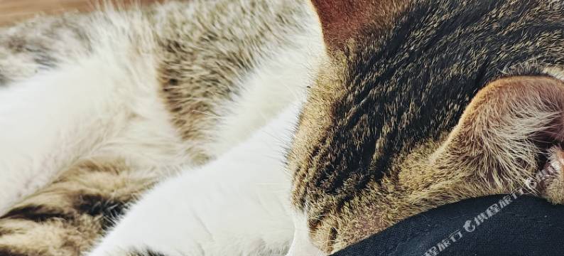 连城源宿山居民宿图片