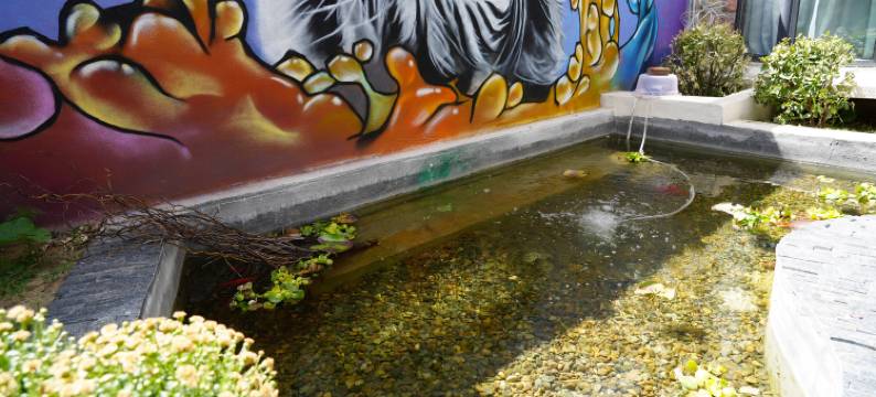 拉萨热窝客栈图片