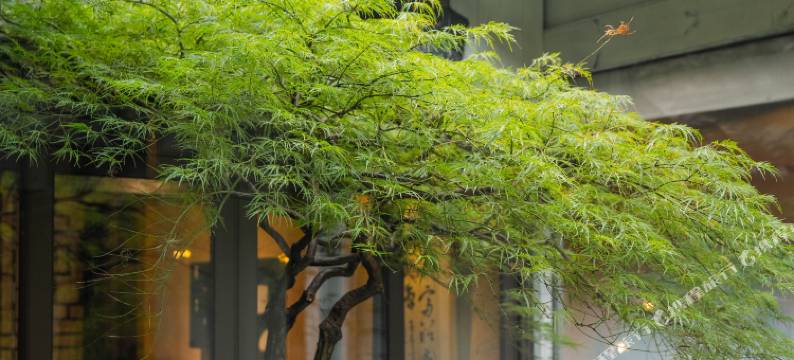 杭州拱宸桥·财神院(京杭大运河店)图片
