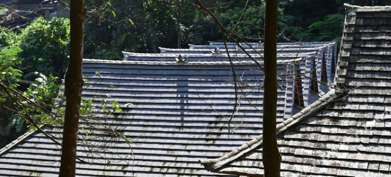 静隐山居环山渡假民宿(嘎洒机场店)图片