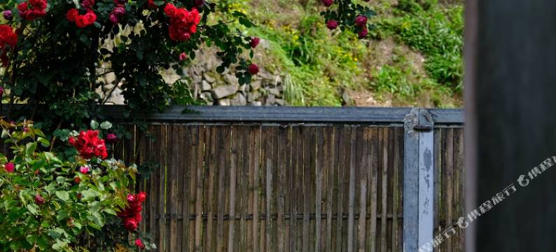 西递翰墨居·双庭院花园民宿图片