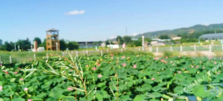 太原水竹居民宿图片