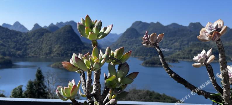 清远桃花湖自家院子民宿图片