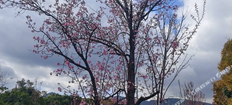 GANK·卓威电竞酒店图片