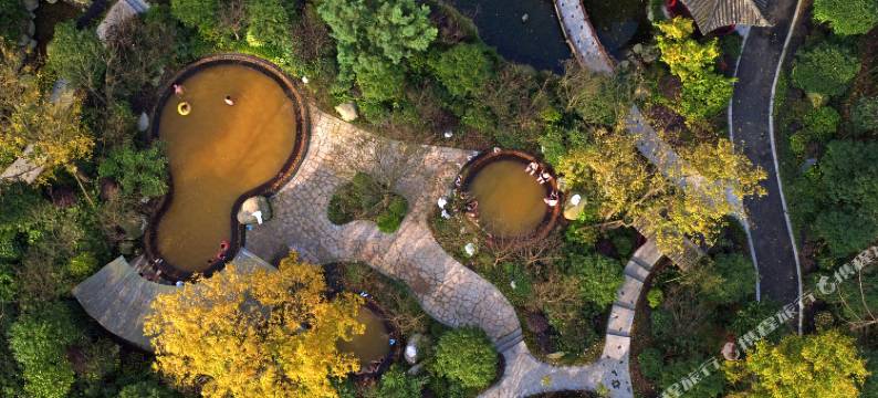 彭州绿野星辰帐篷酒店图片