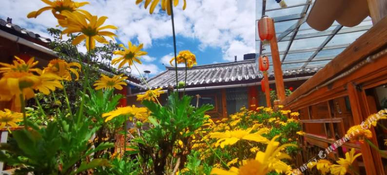 丽江古城天佑堂客栈图片