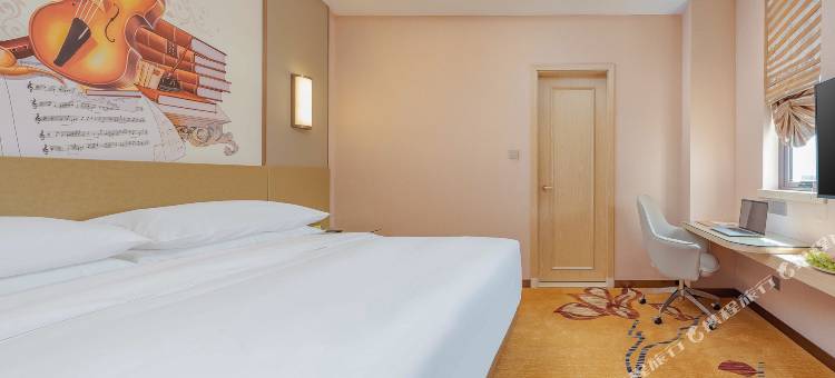 维也纳酒店(龙州店)图片