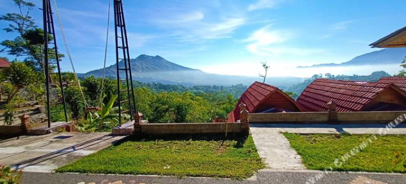 巴厘岛泰英旅馆(Tiing Bali Guest House Kintamani)图片