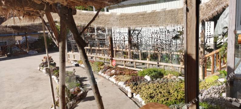 华宁宁阳夕遇民宿图片