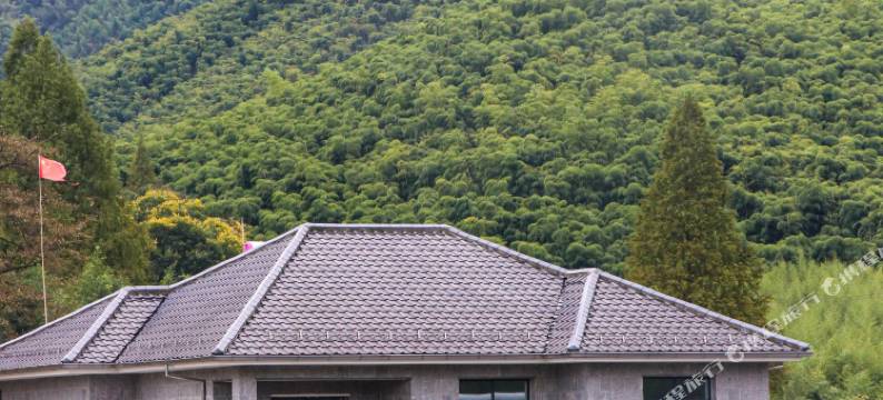 莫干山流年山庄图片