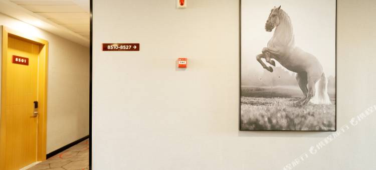 骏怡连锁酒店(太仓浏河镇汽车站店)图片