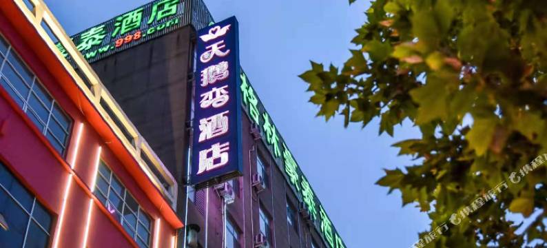 天鹅恋酒店(霸州胜芳店)图片
