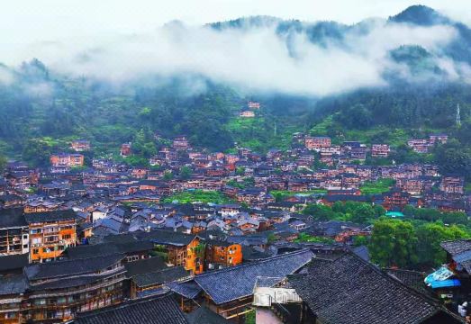 Yinshu Homestay Hotel Overview