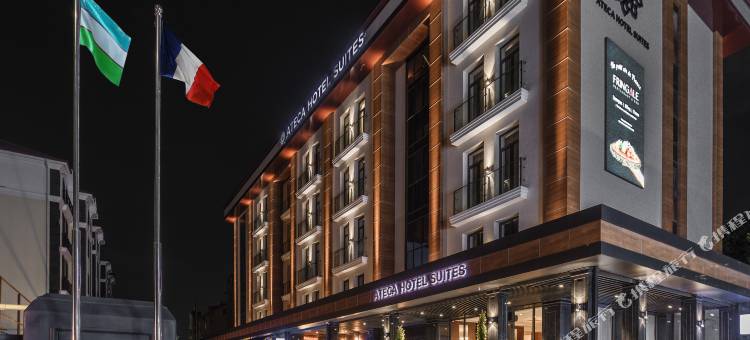 阿特卡套房酒店(Ateca Hotel Suites Tashkent)图片