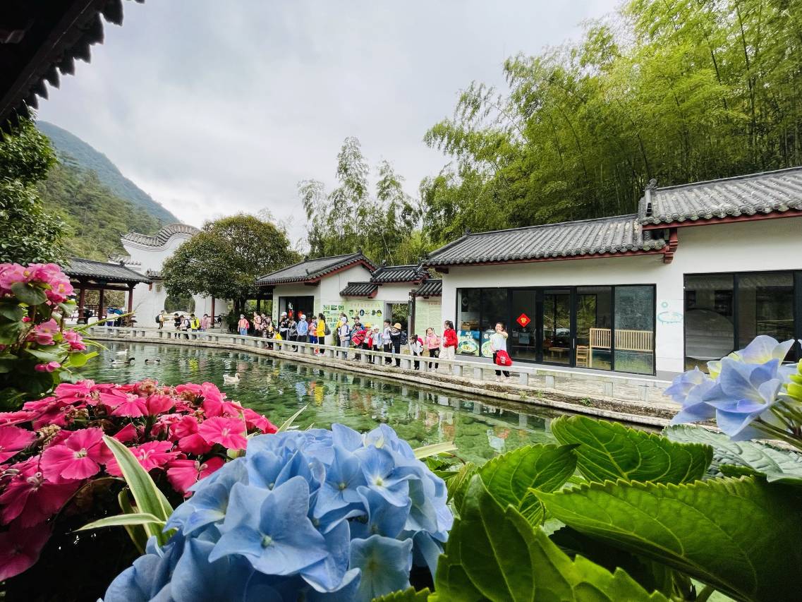 姑婆山三姐故事森林温泉旅修疗愈度假酒店图片