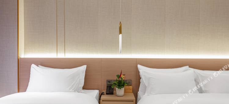 鄢陵梅里·轻雅酒店图片