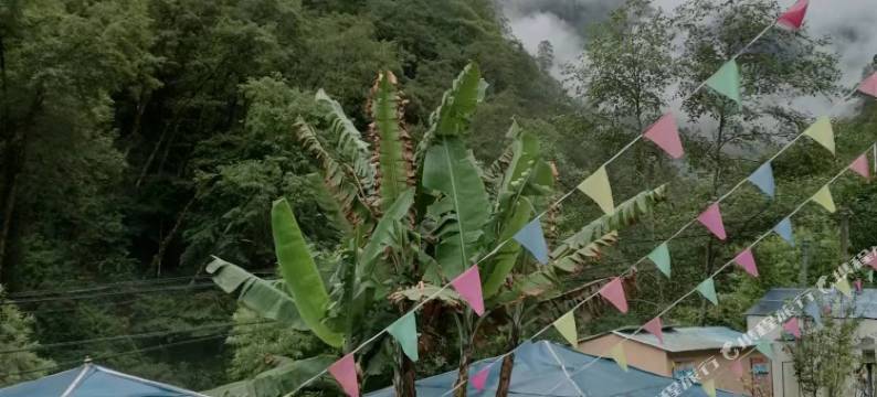 林芝排龙神汤温泉酒店图片