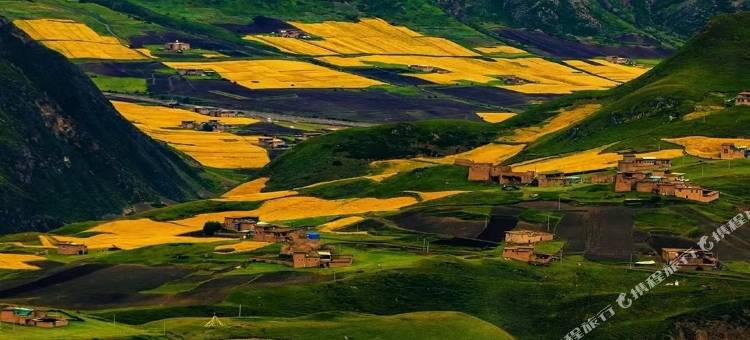 丁青县锦悦精品酒店图片