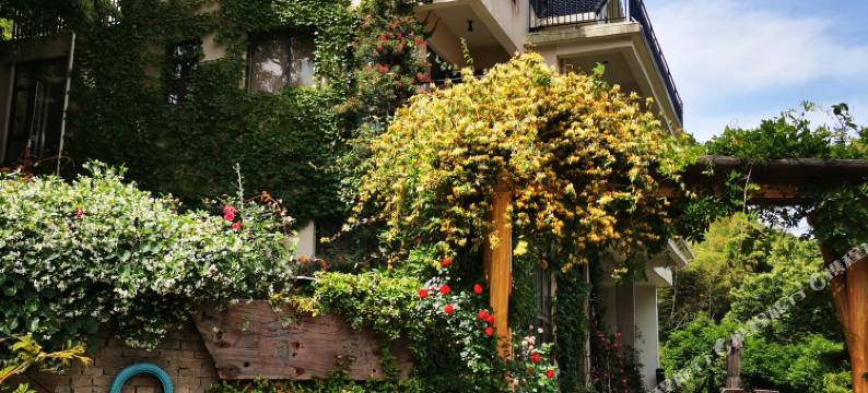 象山青籁度假别墅(鹤浦大沙沙滩店)图片