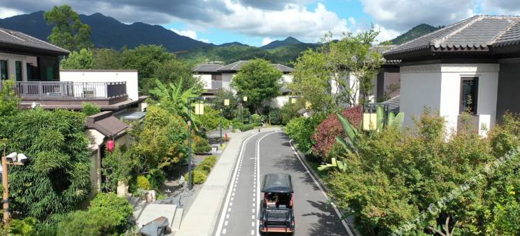 长泰庭野栖山民宿(山外山店)图片