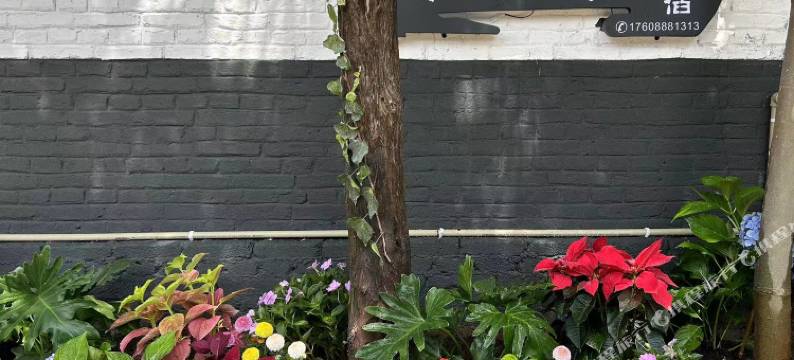 静熙轻奢美宿(丽江古城大水车店)图片