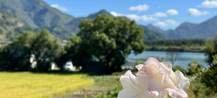 楠溪江那山那湖网球主题酒店图片