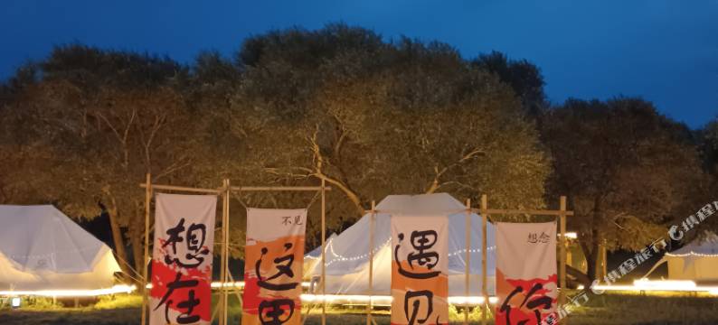 库伦旗银沙湾寻野营地图片