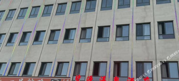 漯河碧源温泉酒店(漯河南高速路口站店)图片