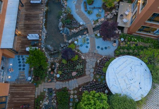 Vine Villa Hotel Overview