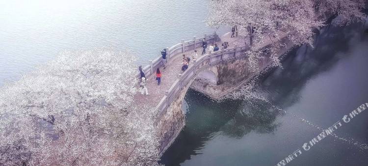 骏怡精选酒店(无锡高铁东站店)图片