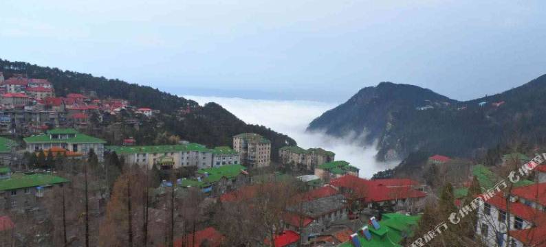 庐山胡阿姨家庭旅馆图片