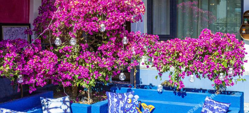 大理最爱这家客栈(大理古城店)图片