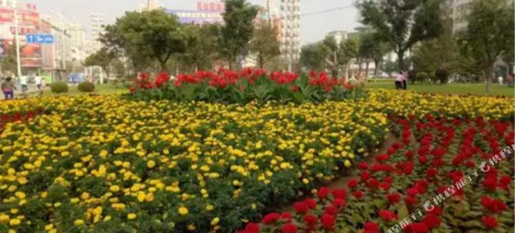 爱舍酒店式公寓(抚顺万达店)图片