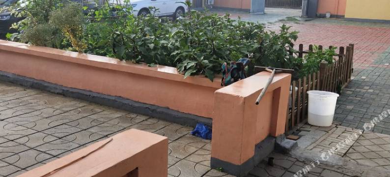 盘锦红海乡园民宿图片