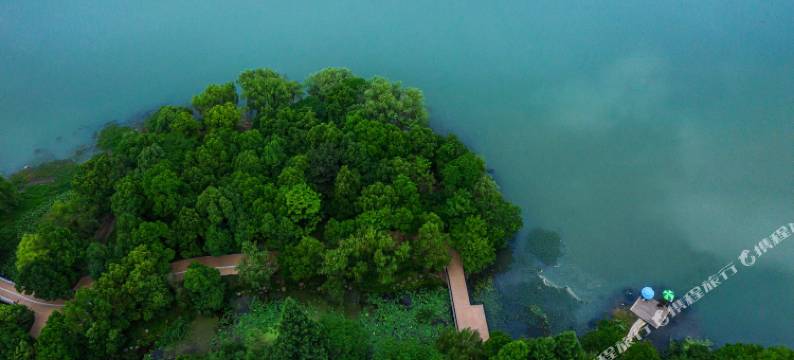 安吉绿竹桃园民宿(竹博园店)图片