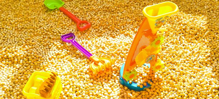 上海西郊宾馆图片